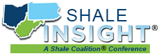 Shale Insight